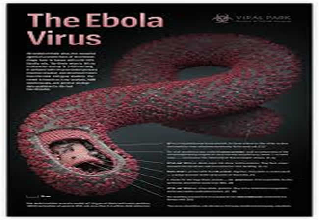 Facts about Ebola