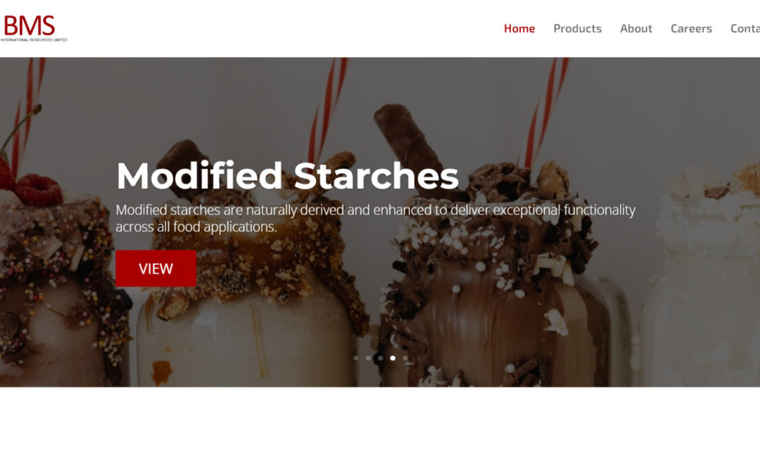 BMS International Resources Limited